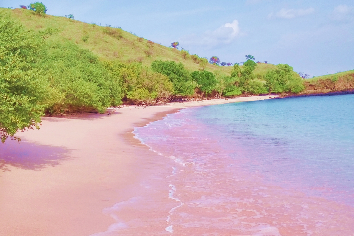 俘获万千少女心的粉红沙滩,在印尼的科莫多岛就有一个.