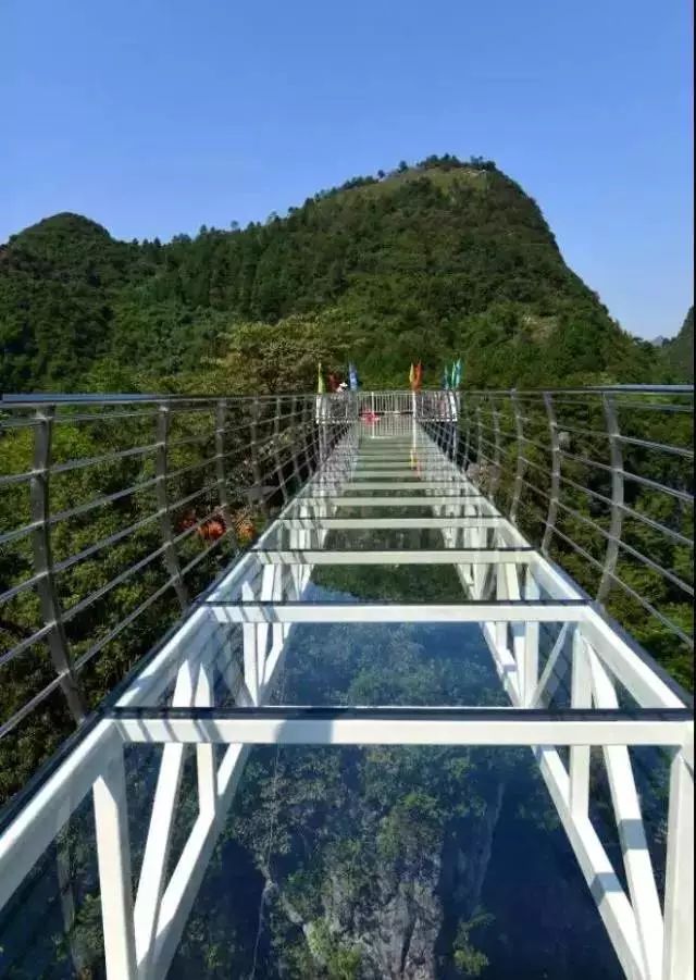 阳山岭背玻璃桥图片