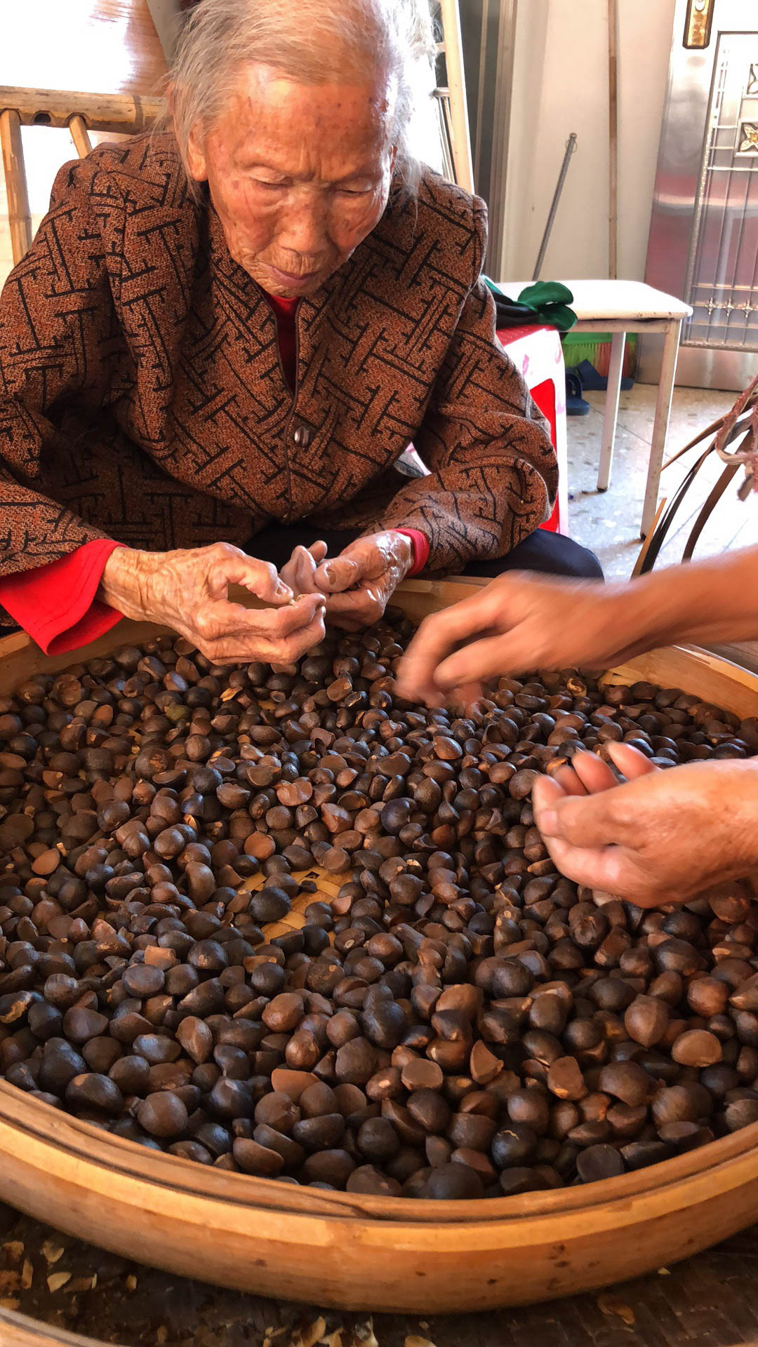 茶油树茶包图片