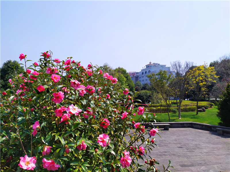 雲南騰衝一九八師公園昔日忠烈魂所託今時蔭庇尋常人