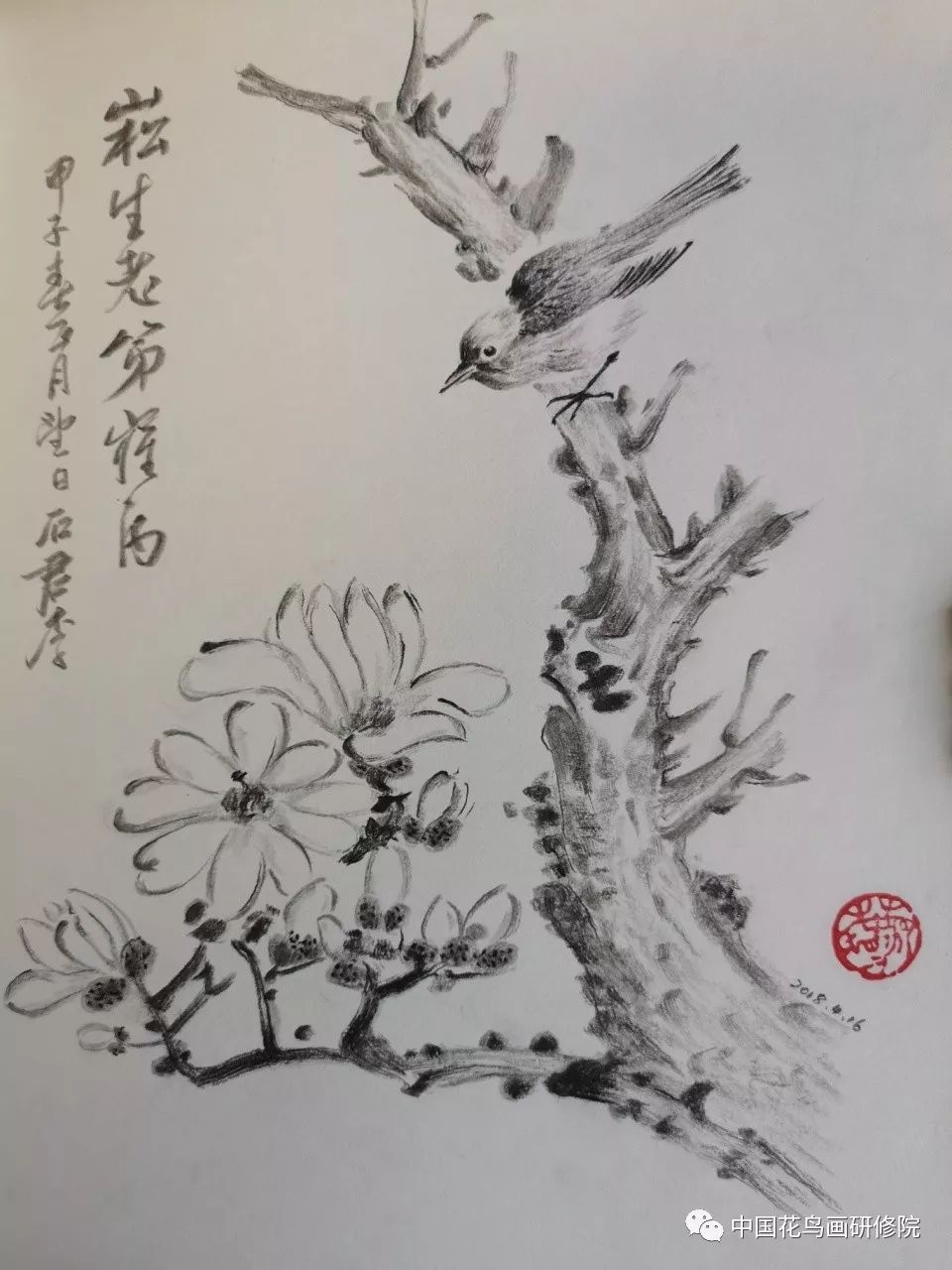 国画名家素描作品之花鸟篇