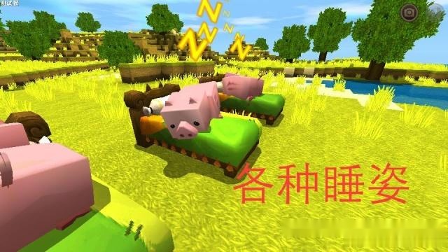 迷你世界游戏中的猪也学会找床睡觉了原来修改下插件就行了
