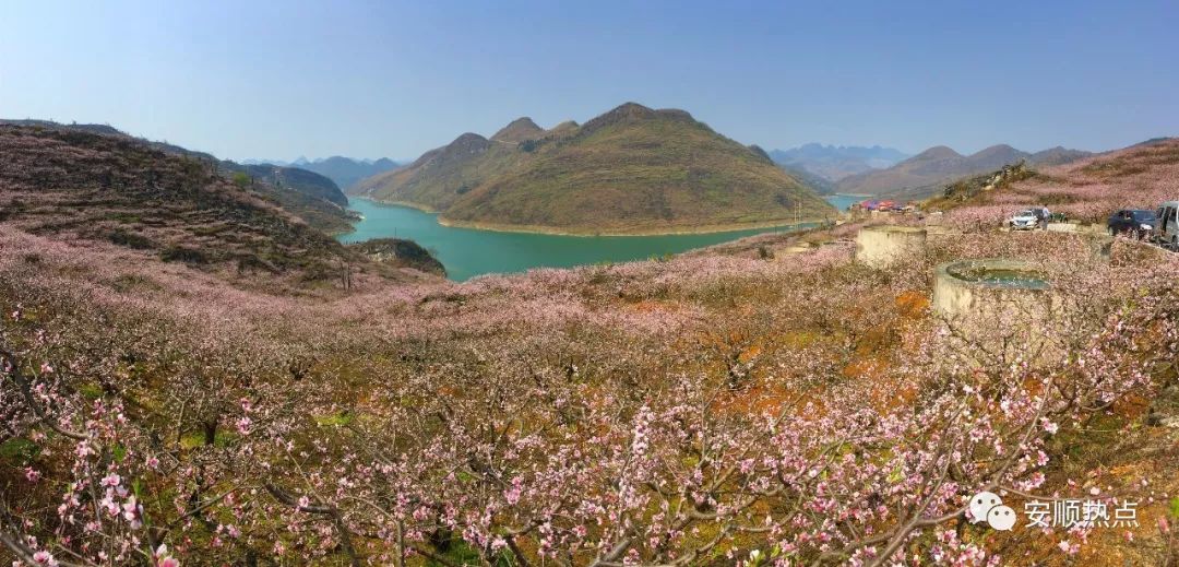 普定桃花岛图片