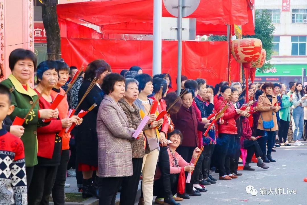 完整視頻潮陽第九屆雙忠文化節圓滿成功