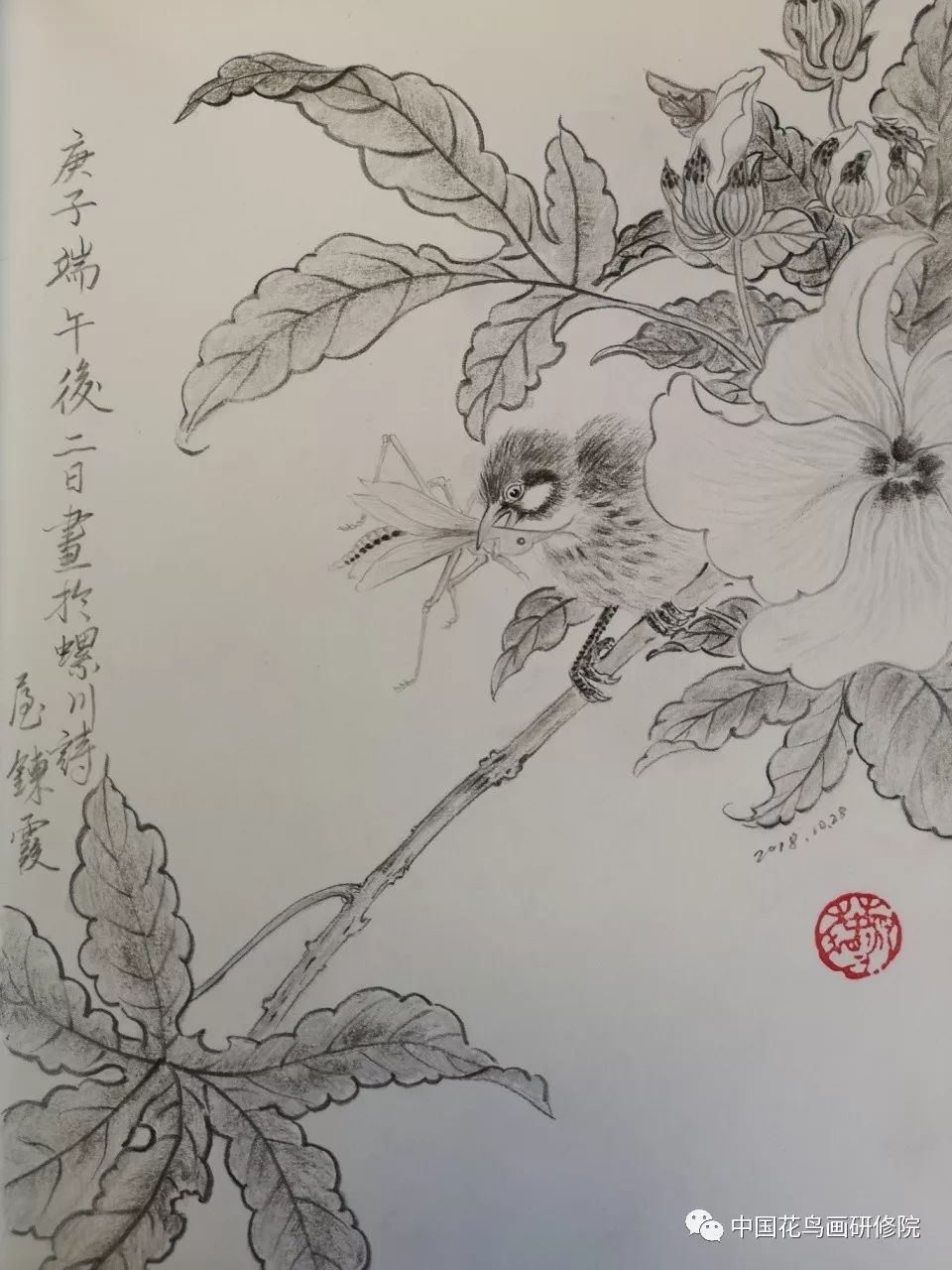 国画名家素描作品之花鸟篇