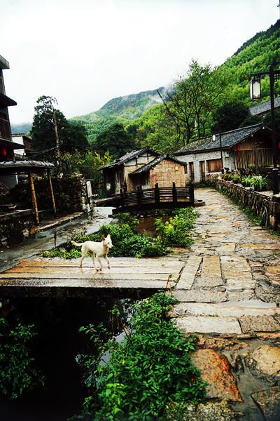 探村台州黃岩半山古村清溪古道梨樹石屋靜享山居之美