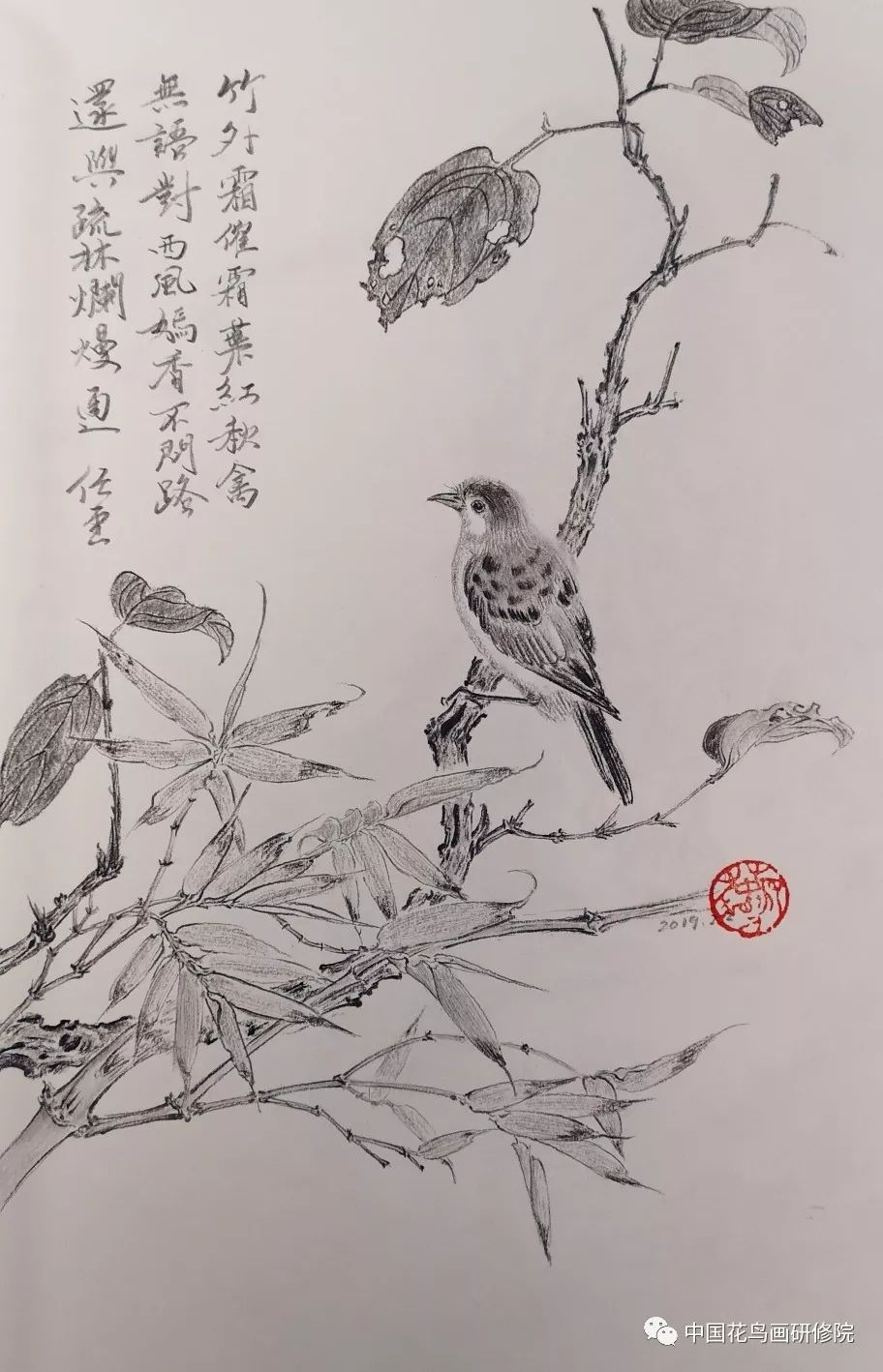 国画名家素描作品之花鸟篇