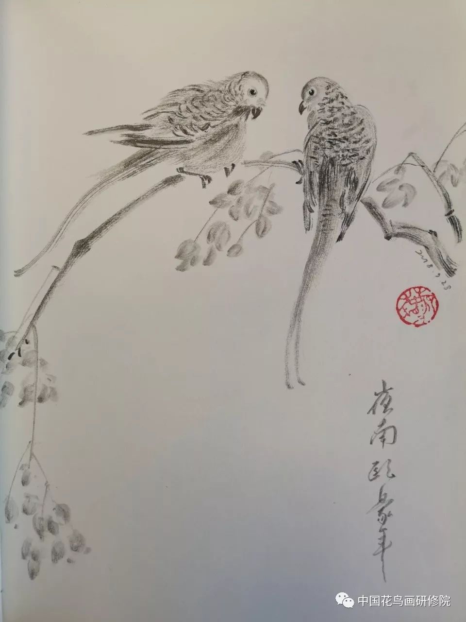 國畫名家素描作品之花鳥篇