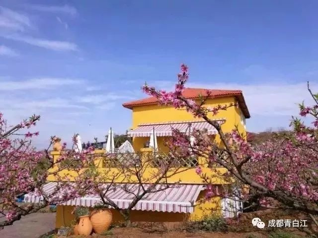 青白江花园沟风景区图片