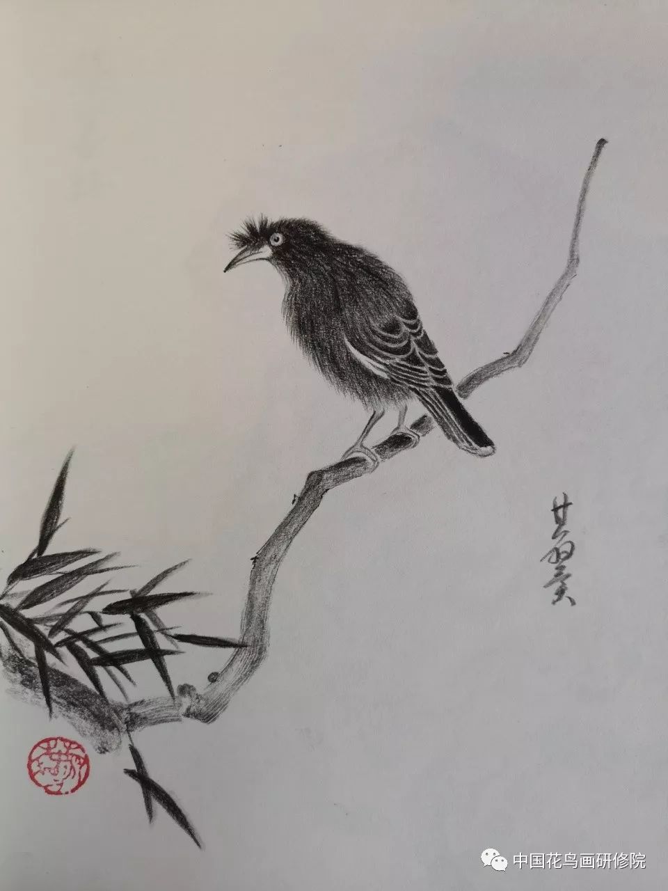 国画名家素描作品之花鸟篇