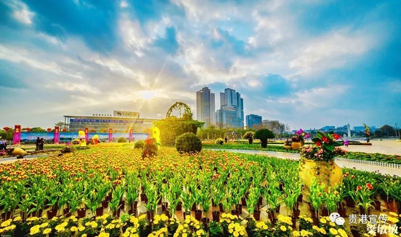 貴港新世紀廣場▲貴港園博園▲貴港市體育中心貴港馬拉松賽道長度竟