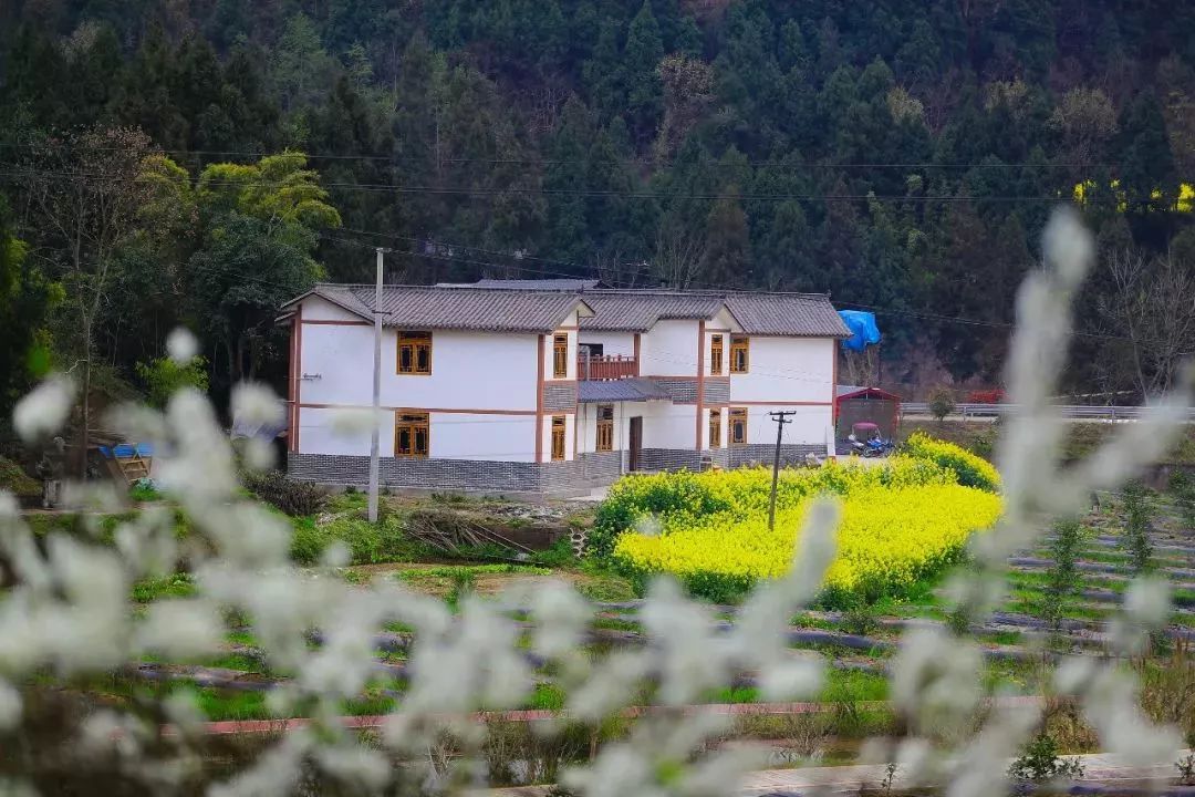 閬中五龍春天美景,張張都可以做屏保!_旅遊