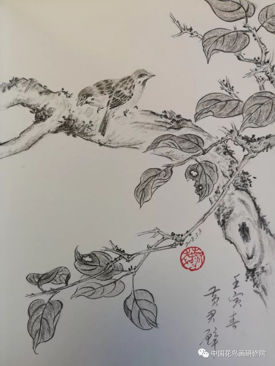 国画名家素描作品之花鸟篇