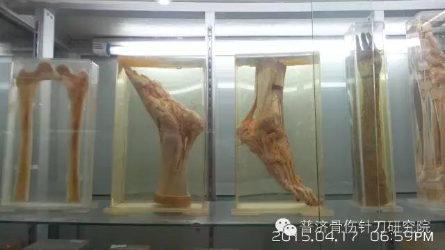 死尸的照片解剖图片