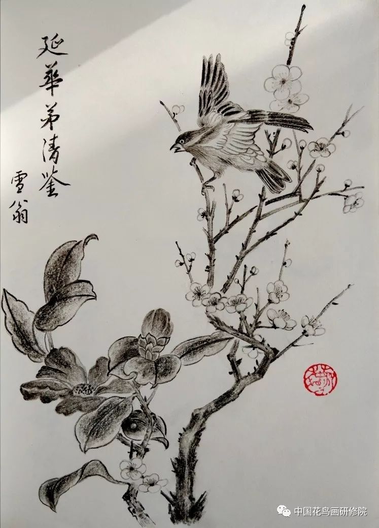 国画名家素描作品之花鸟篇