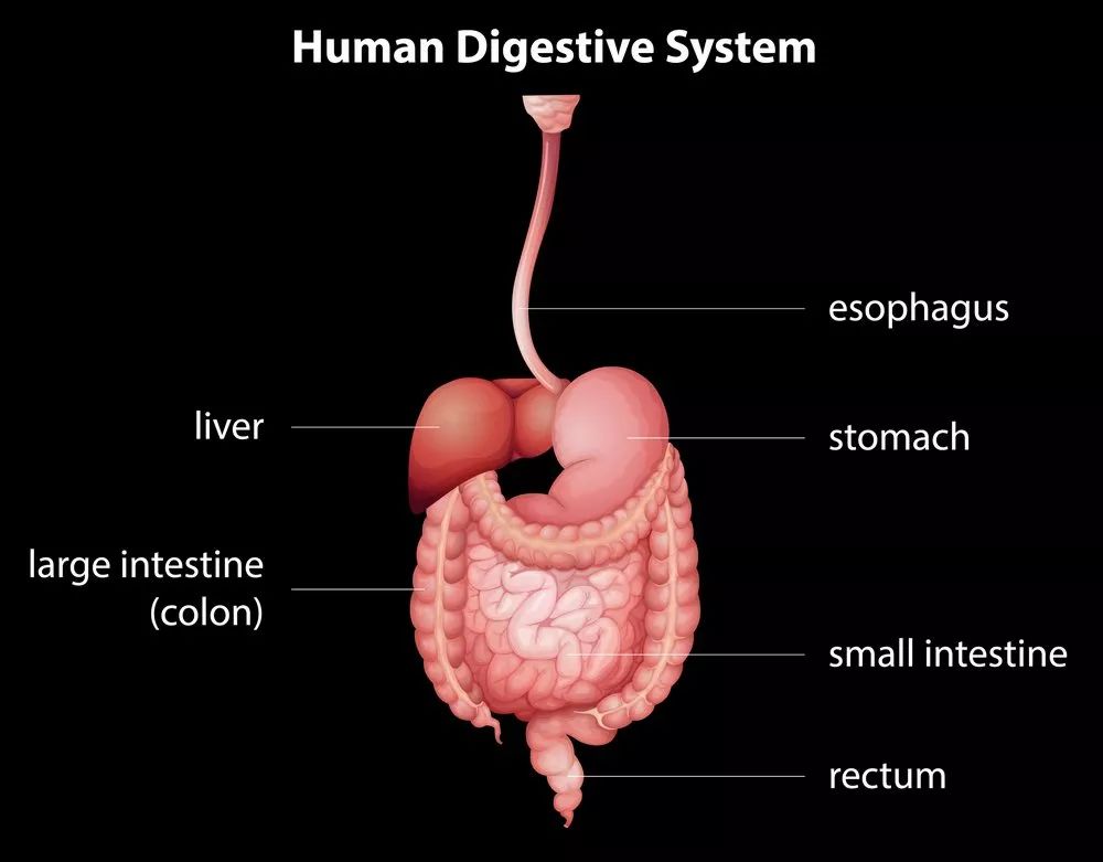 另外,反流的胃液可能会侵蚀咽部,声带和气管而诱发慢性咽炎,慢性声带