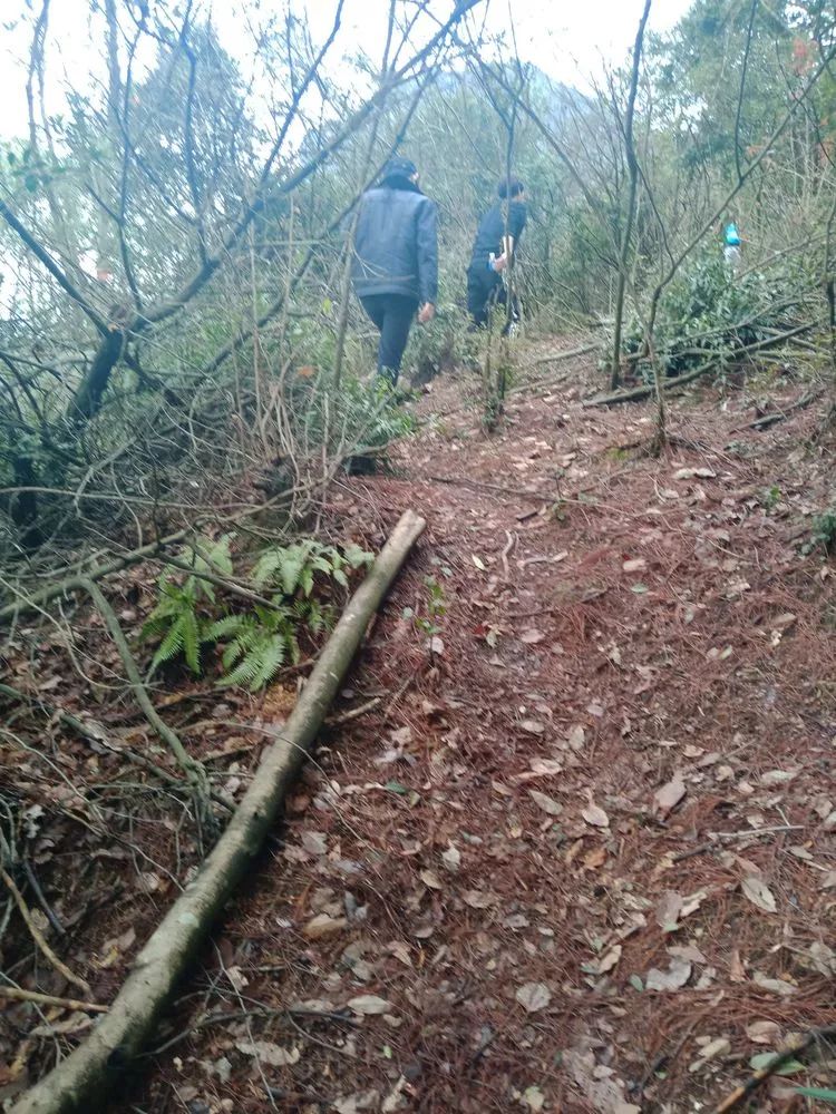 鹄岫晴岚—乐平鹄山之旅|走遍乐平