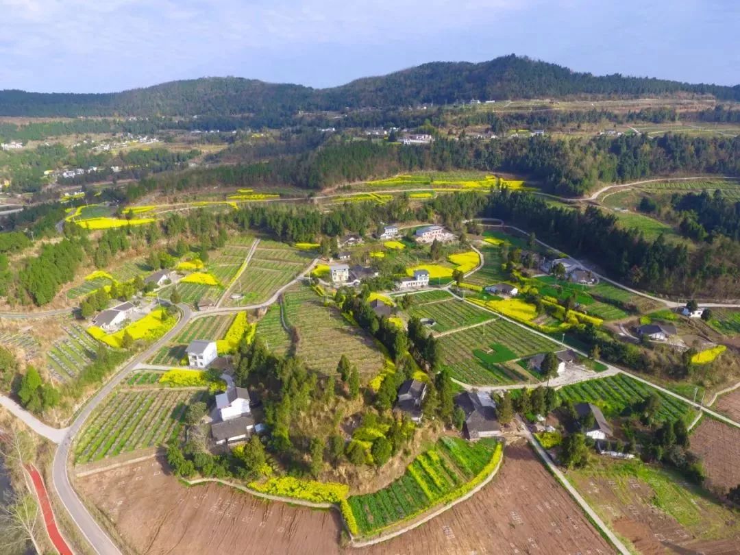 閬中五龍春天美景,張張都可以做屏保!_旅遊