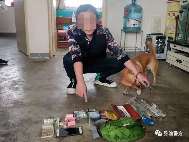 弥城派出所民警在工作中获悉董某凤(女,33岁,家住弥城镇文笔社区)有