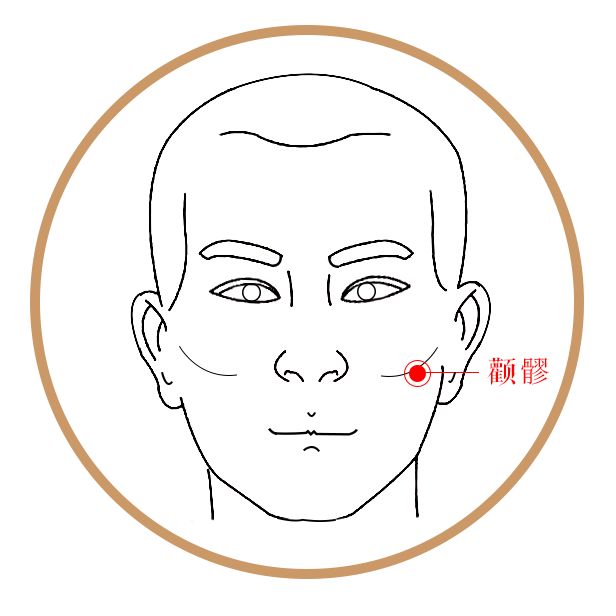 颧髎穴,点按面颊止痛手法:点按面颊,脸部正中位置,颧骨下面的凹陷处