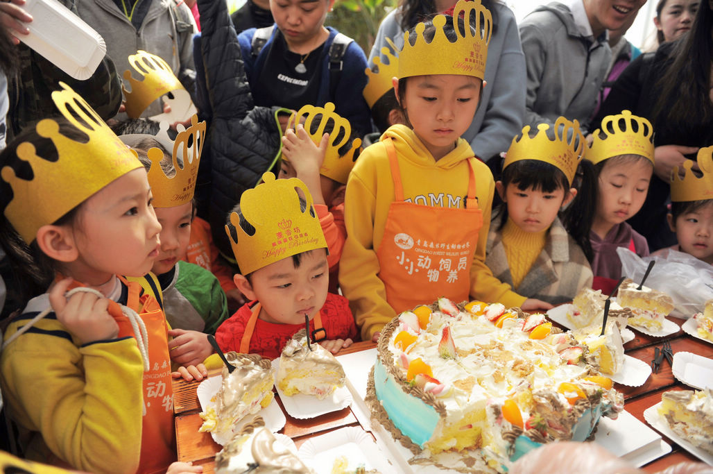 小河馬週歲 同過生日小朋友共慶生 蛋糕自己動手做