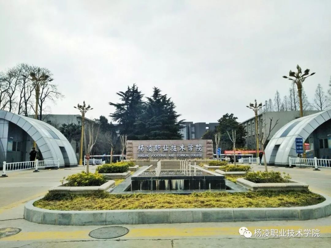 云南杨林大学城图片