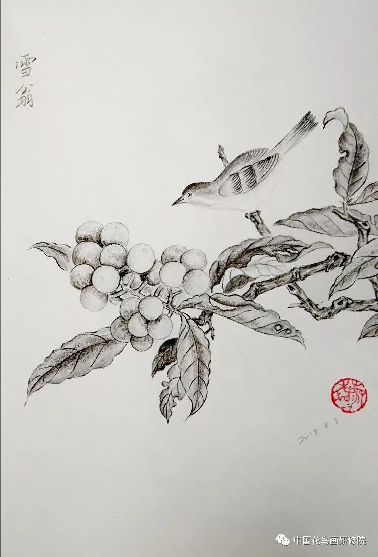 國畫名家素描作品之花鳥篇