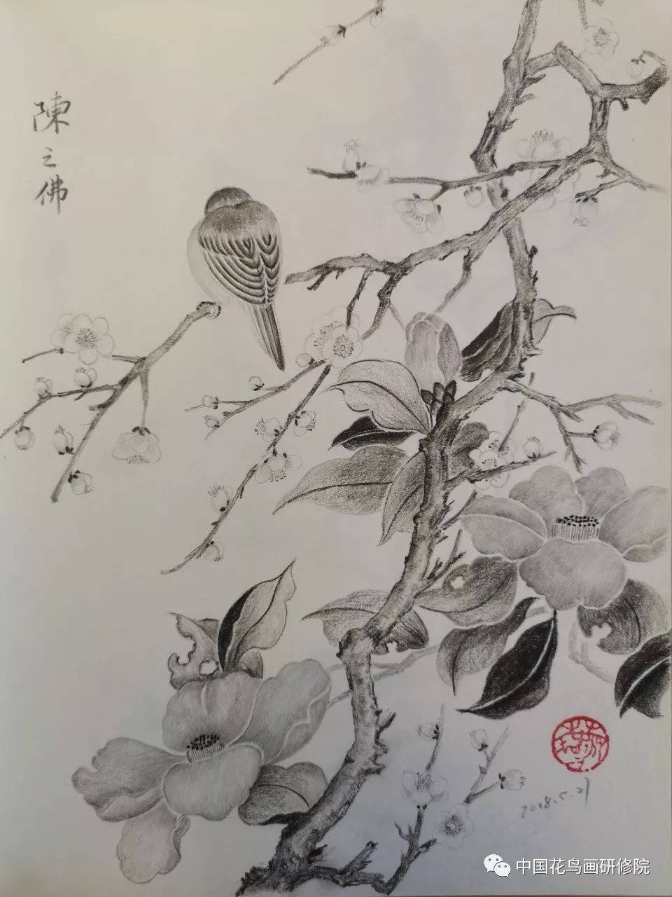 国画名家素描作品之花鸟篇