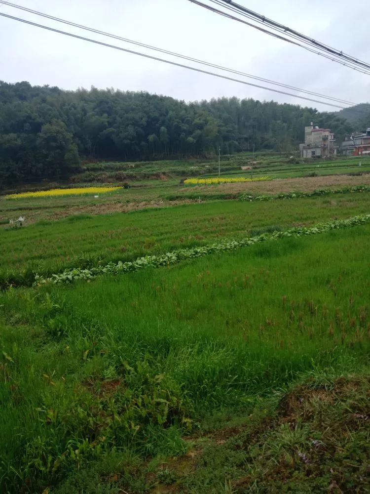 鹄岫晴岚—乐平鹄山之旅|走遍乐平