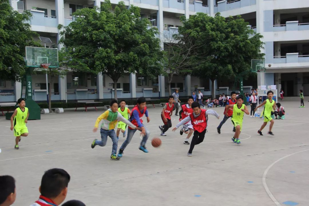 沙甸区新沙甸小学和鱼峰小学及地处南部山区乡镇老厂镇的个旧十七中