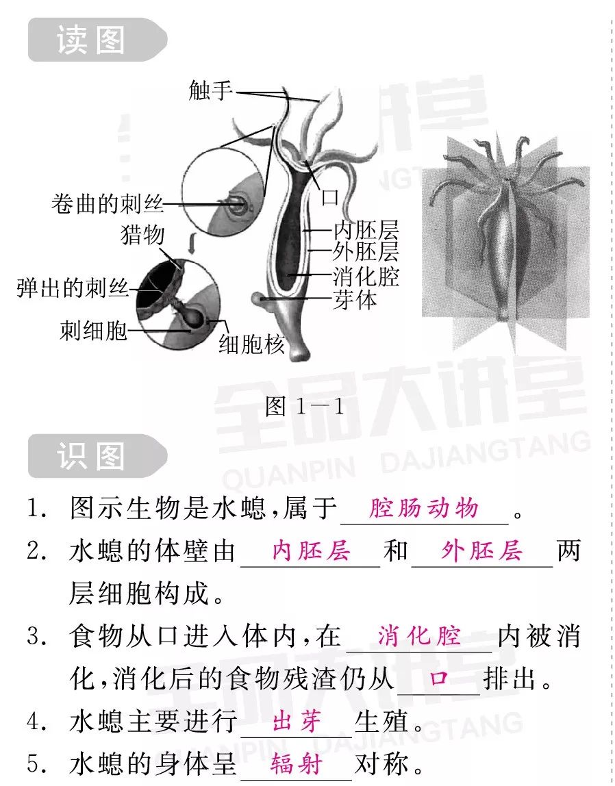 初中生物 | 20圖搞定八上識圖題(點單)