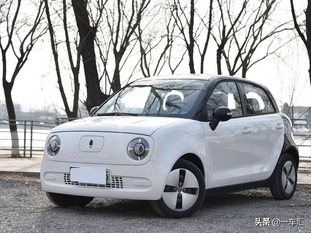 看2019年2月份哪些微型電動車賣的不錯,網友:代步車玩出新花樣