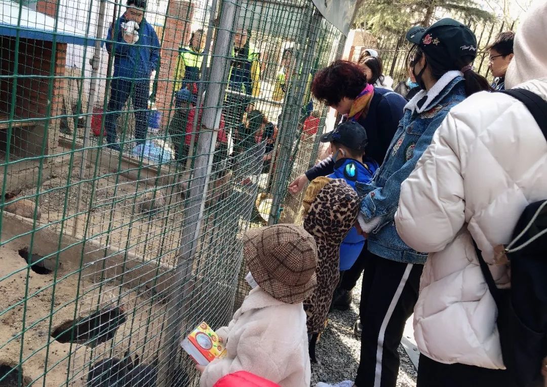 遊園,植樹,玩遊戲這次我們來到了寶威幼兒園跟著mymo一起去植樹啦!