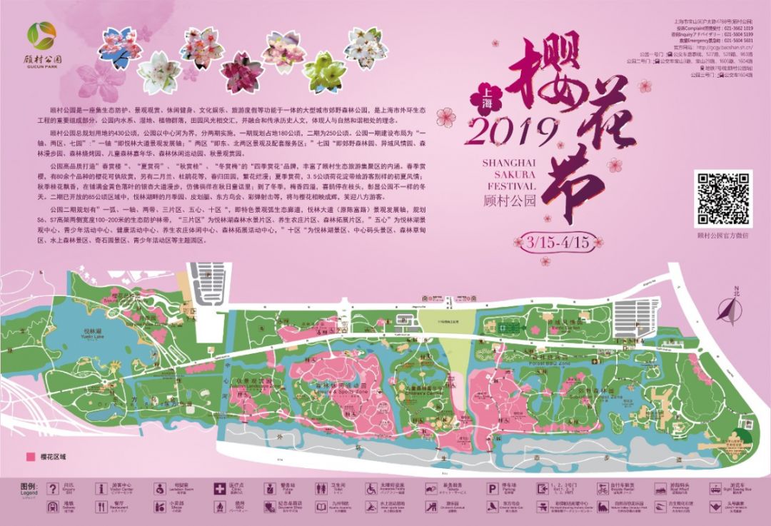 上海花博园景点介绍图片
