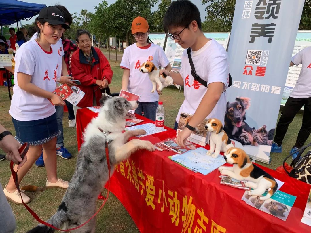 【众善活动】动保公益宣传走进白沙门公园