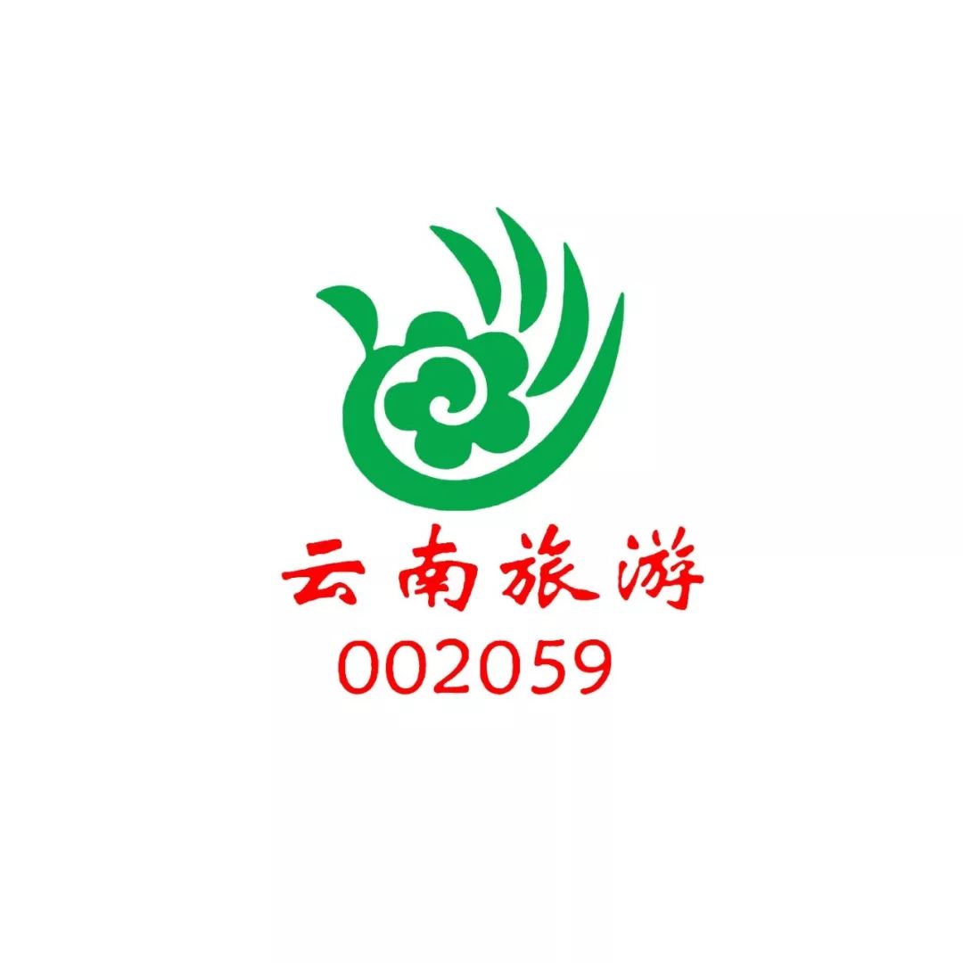 云南省国际旅行社logo图片