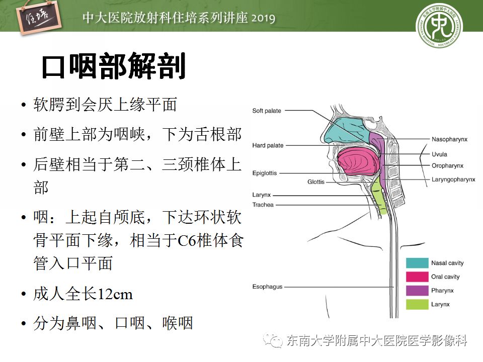 【中大放射住培系列讲座 第53期】口咽部异物及感染性病变的影像诊断