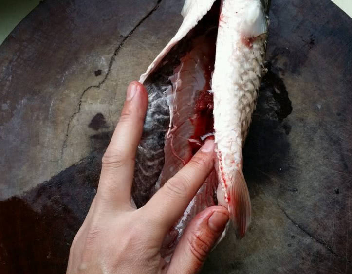 吃鱼时,鱼肚里的黑膜到底能不能吃,原来以前吃错了?