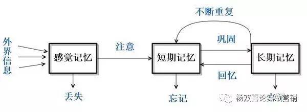 25-2秒储存时间—短时记忆(几分钟储存时间—长时记忆(数分钟到