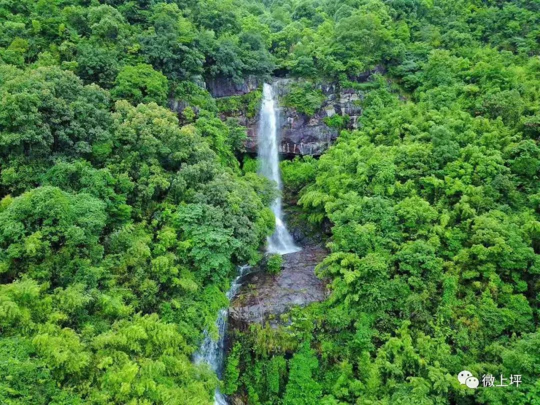 謝雄鷹又創新曲連平八景