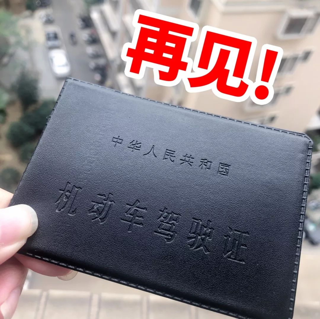 驾驶证能当身份证用吗(行驶证在哪里可以查到电子版)