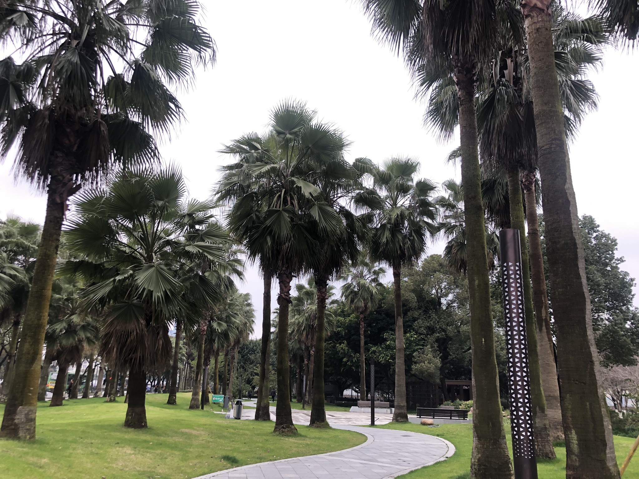 臨近時代廣場和財富中心,藏在其間的公園格外寧靜