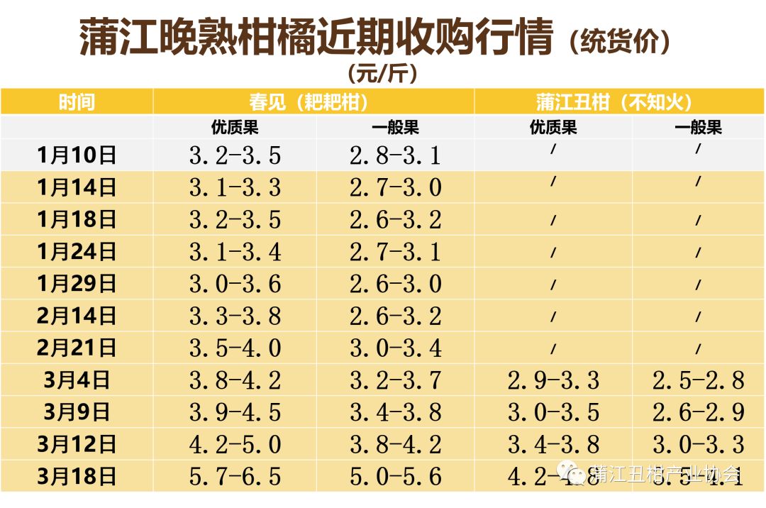 今日蒲江耙耙柑地头价图片