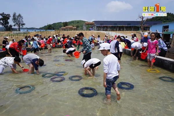 4月份开海大庆连江赶海一号滩涂赶海沙滩乐园一日游