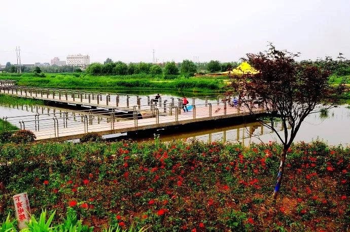 灞桥生态湿地公园路线图片