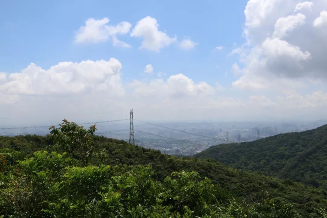 深圳最適合一日遊的35個免費景點,拍照,賞花,踏青統統都有!