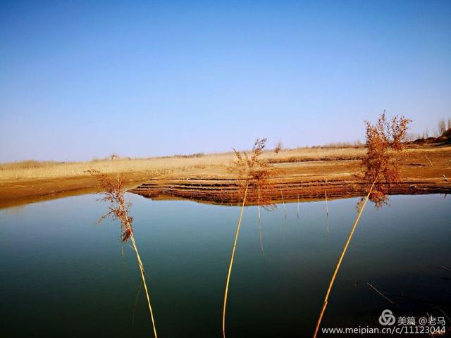 走进泜水湿地赏隆尧美景