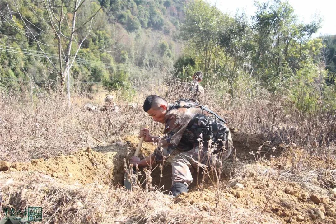 快看,兵哥哥的野战生存秘籍!