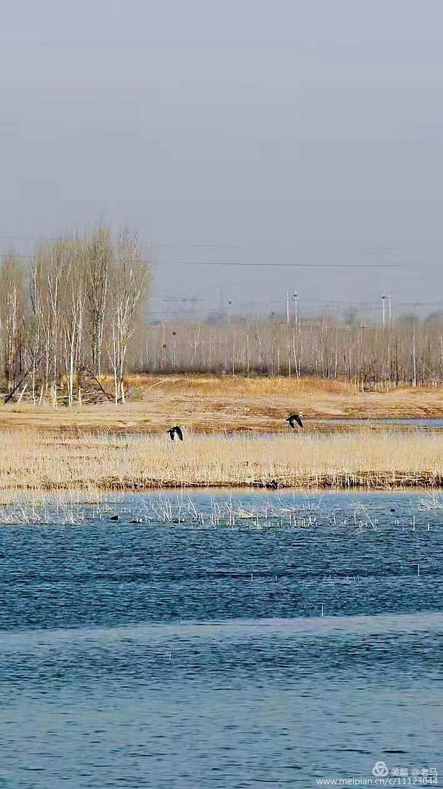 走进泜水湿地赏隆尧美景