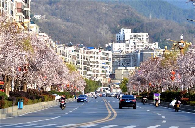 (湖北日报通讯员石濡华摄)3月17日,湖北竹山县7名即将参加高考的高三